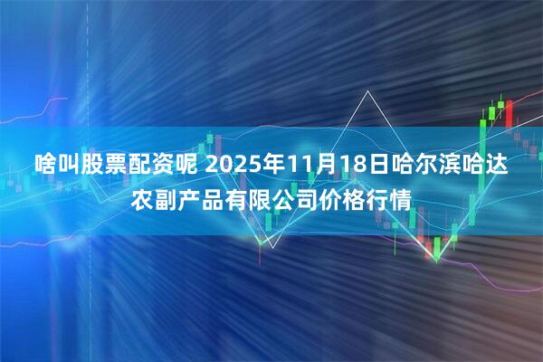 啥叫股票配资呢 2025年11月18日哈尔滨哈达农副产品有限公司价格行情