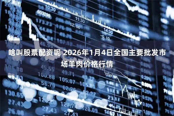 啥叫股票配资呢 2026年1月4日全国主要批发市场羊肉价格行情